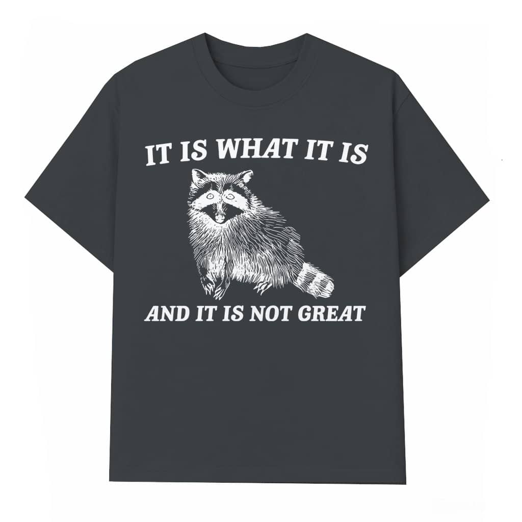 Funny Raccoon Meme It Is What It Is Quote T-shirt – Birthday Gift for Men Women Vintage