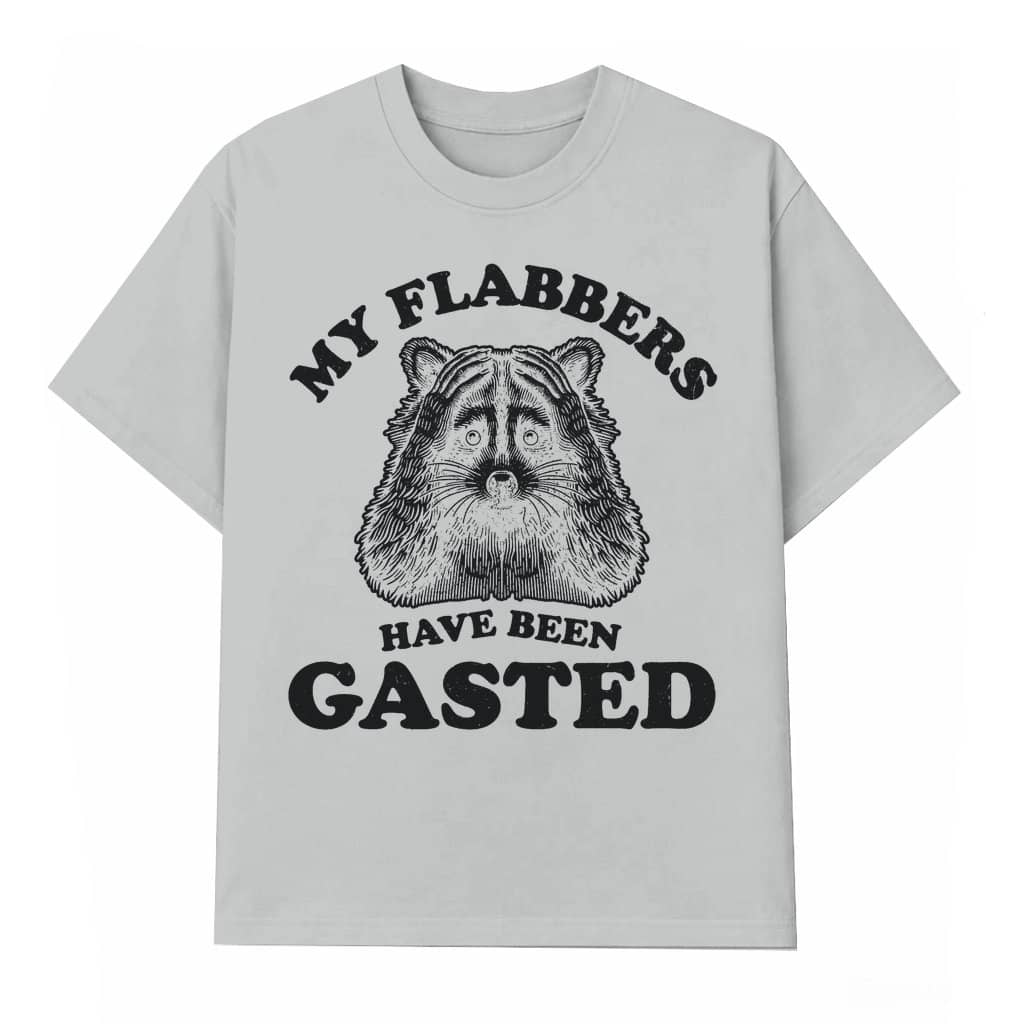 Funny My Flabbers Are Gasted Raccoon T-shirt – Birthday Gift for Animal Lover Vintage Meme