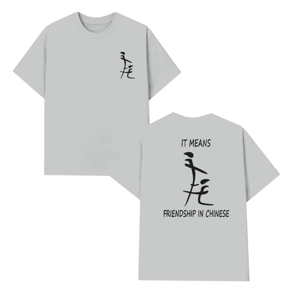 It Means Friendship In Chinese T-shirt – Funny Naughty Gift for Men