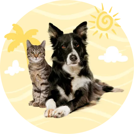 Pet Lover