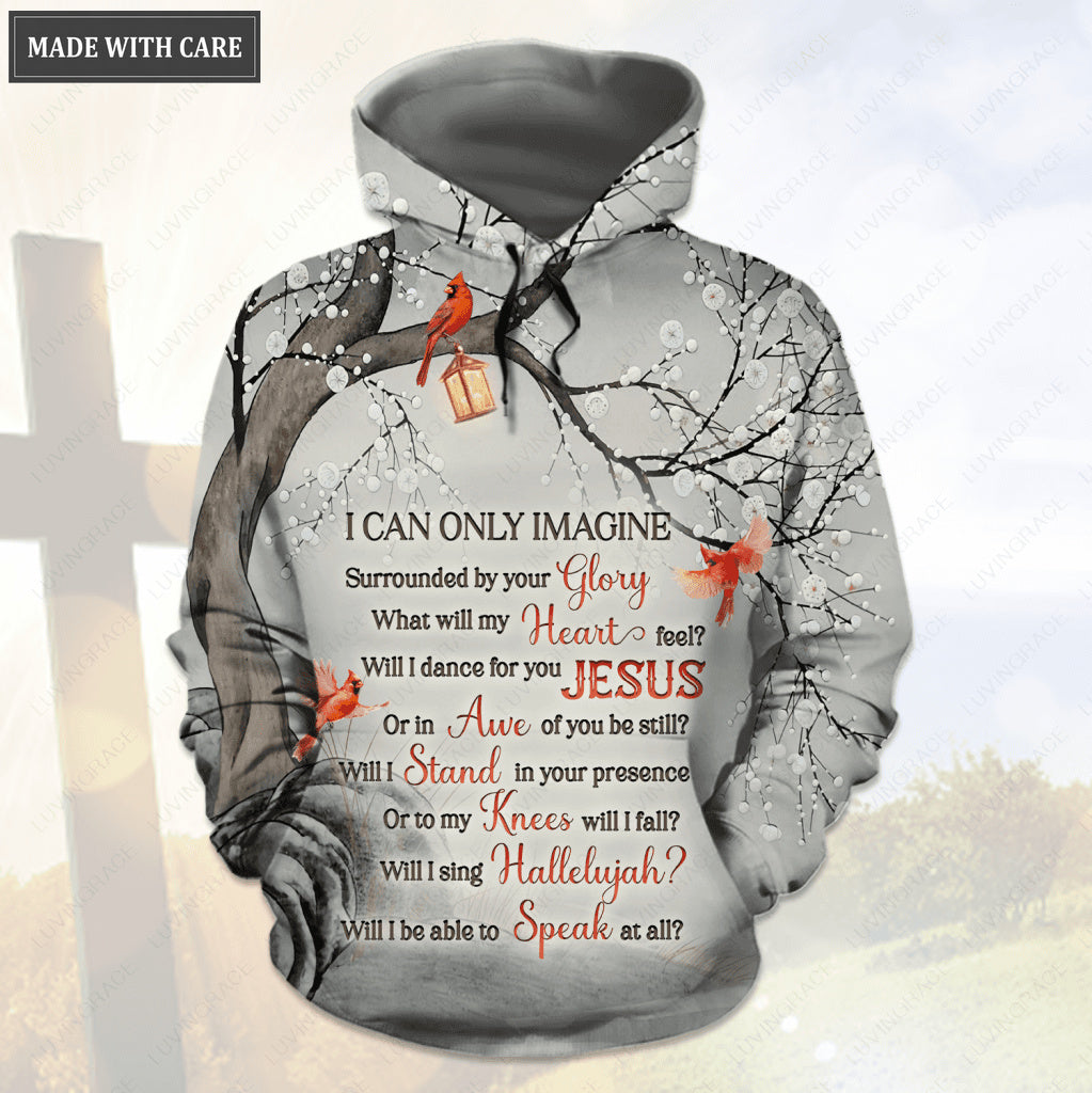 Cardinals Surrounded By The Glory Hoodie