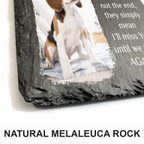Custom Pet Photo Goodbyes Are Not The End Custom Dog Memorial Stone, Pet Memorial Gifts - Personalized Custom Memorial Tombstone