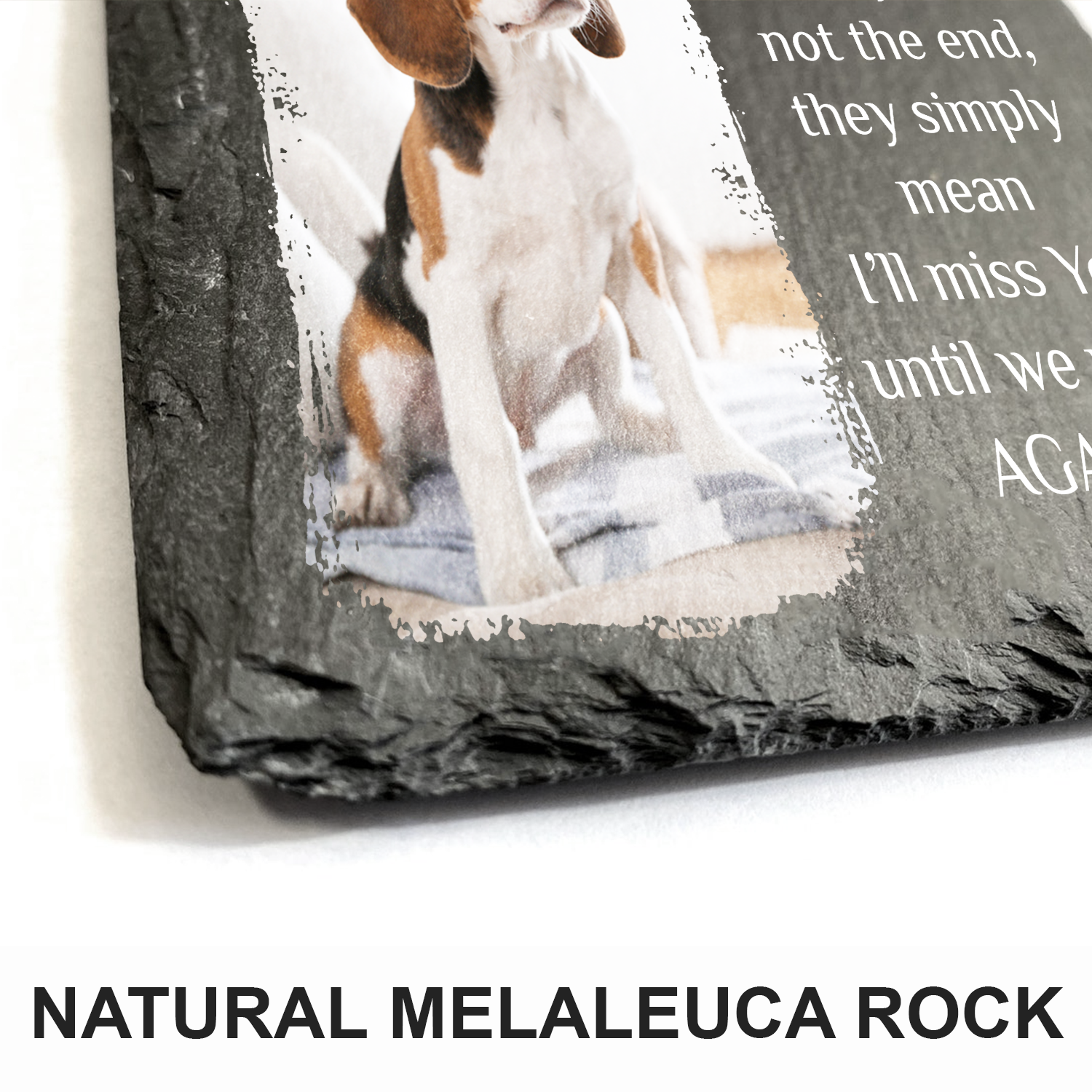 Custom Pet Photo Goodbyes Are Not The End Custom Dog Memorial Stone, Pet Memorial Gifts - Personalized Custom Memorial Tombstone