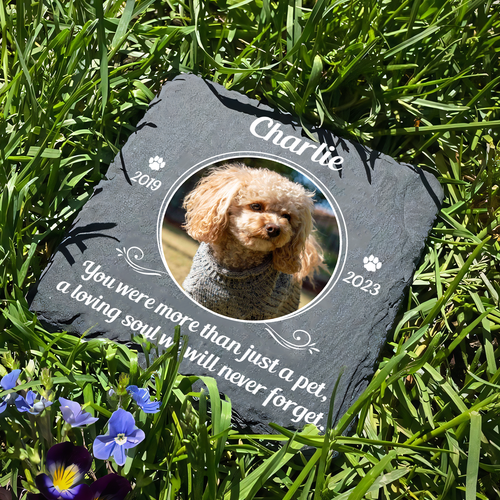 Circle Frame Pet Photo You Were More Than Just A Pet Custom Dog Memorial Stone, Pet Memorial Gifts - Personalized Custom Memorial Tomstone