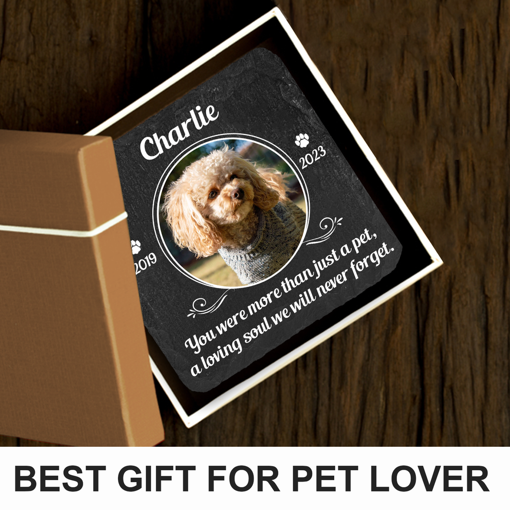 Circle Frame Pet Photo You Were More Than Just A Pet Custom Dog Memorial Stone, Pet Memorial Gifts - Personalized Custom Memorial Tomstone