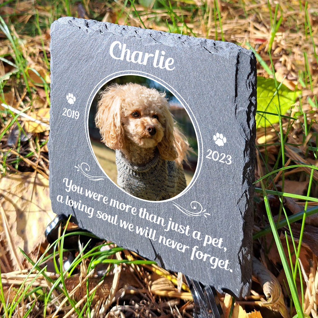 Circle Frame Pet Photo You Were More Than Just A Pet Custom Dog Memorial Stone, Pet Memorial Gifts - Personalized Custom Memorial Tomstone