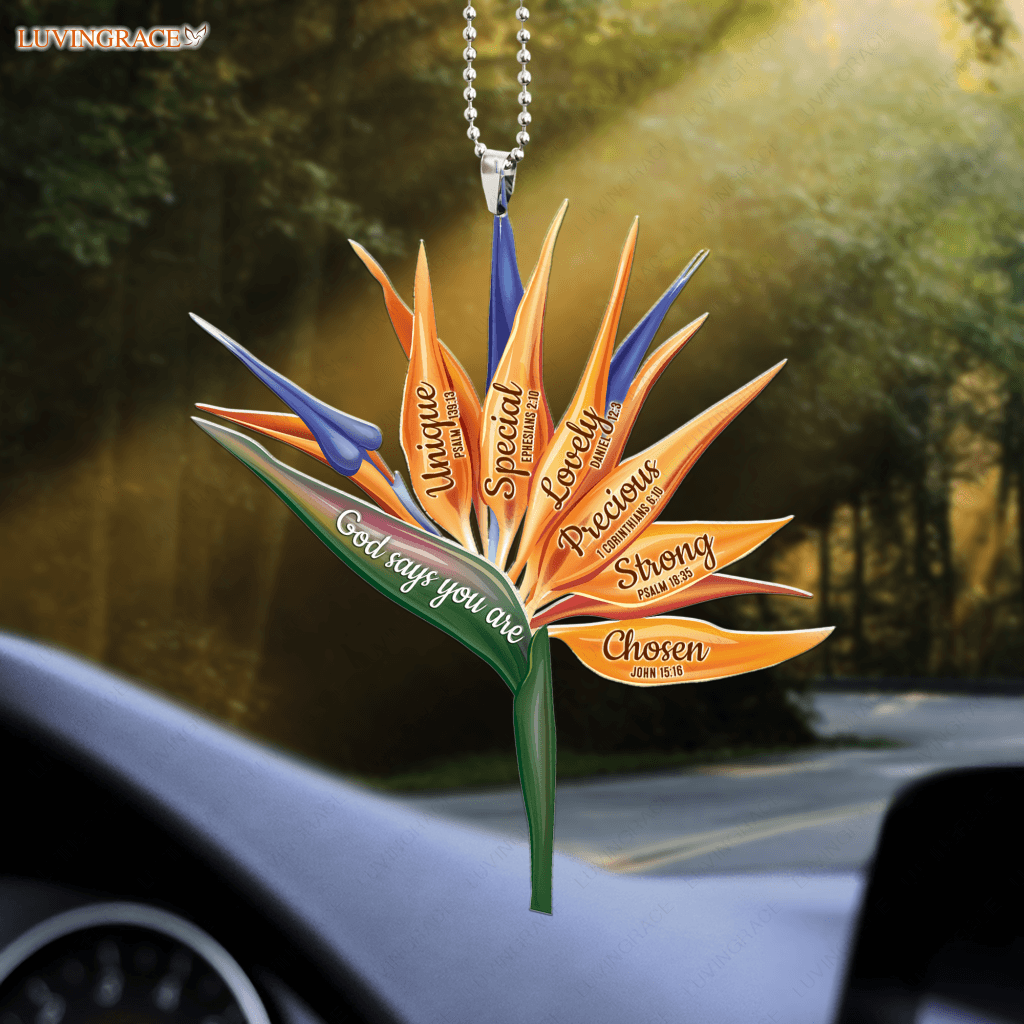 Bird Of Paradise Flower God Says You Are Ornament