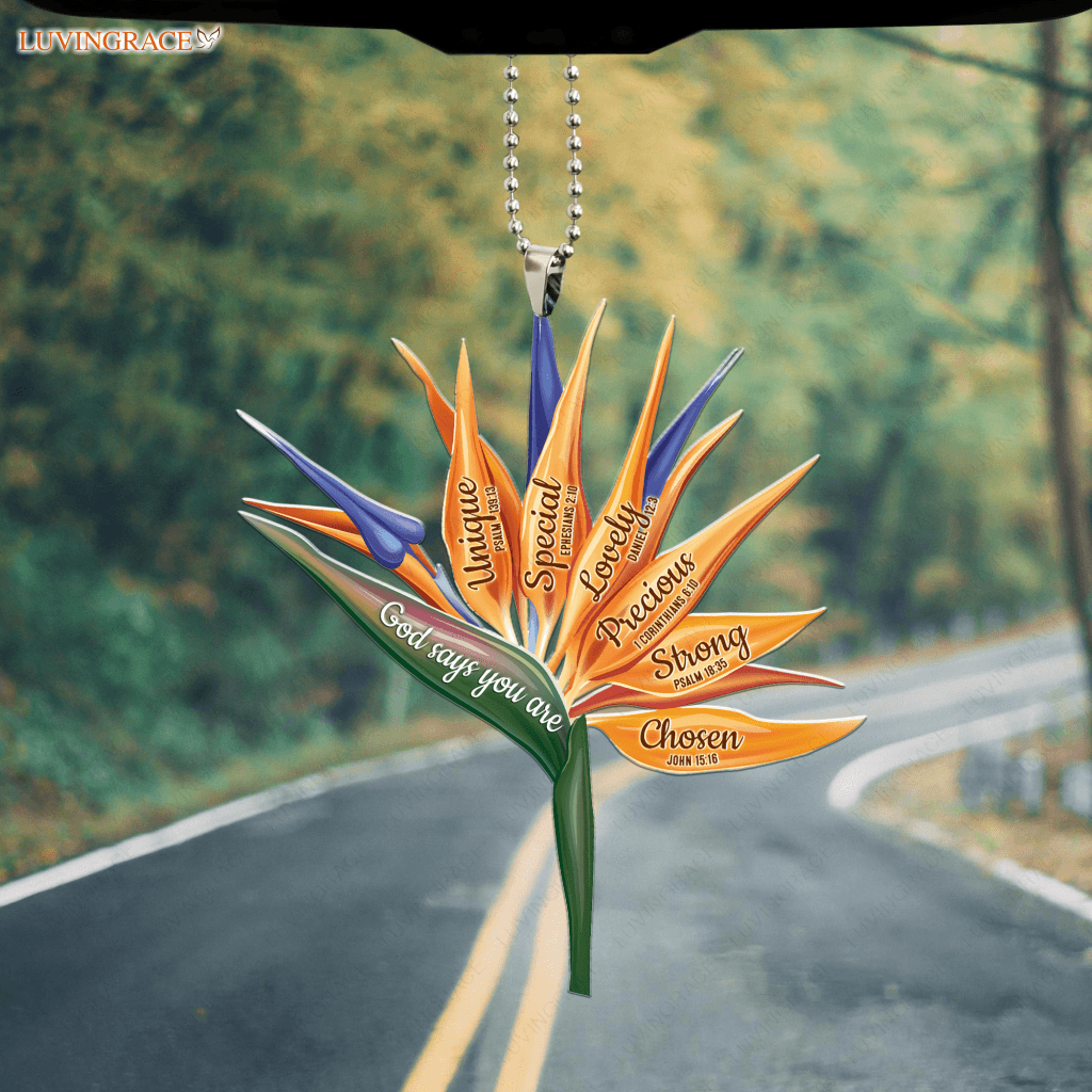 Bird Of Paradise Flower God Says You Are Ornament