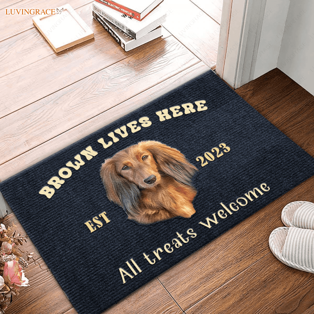 Dog Lives Here - Personalized Custom Doormat