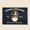 Dog Lives Here - Personalized Custom Doormat