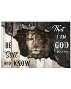 Lion Wooden Broken Be Still