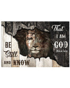 Lion Wooden Broken Be Still