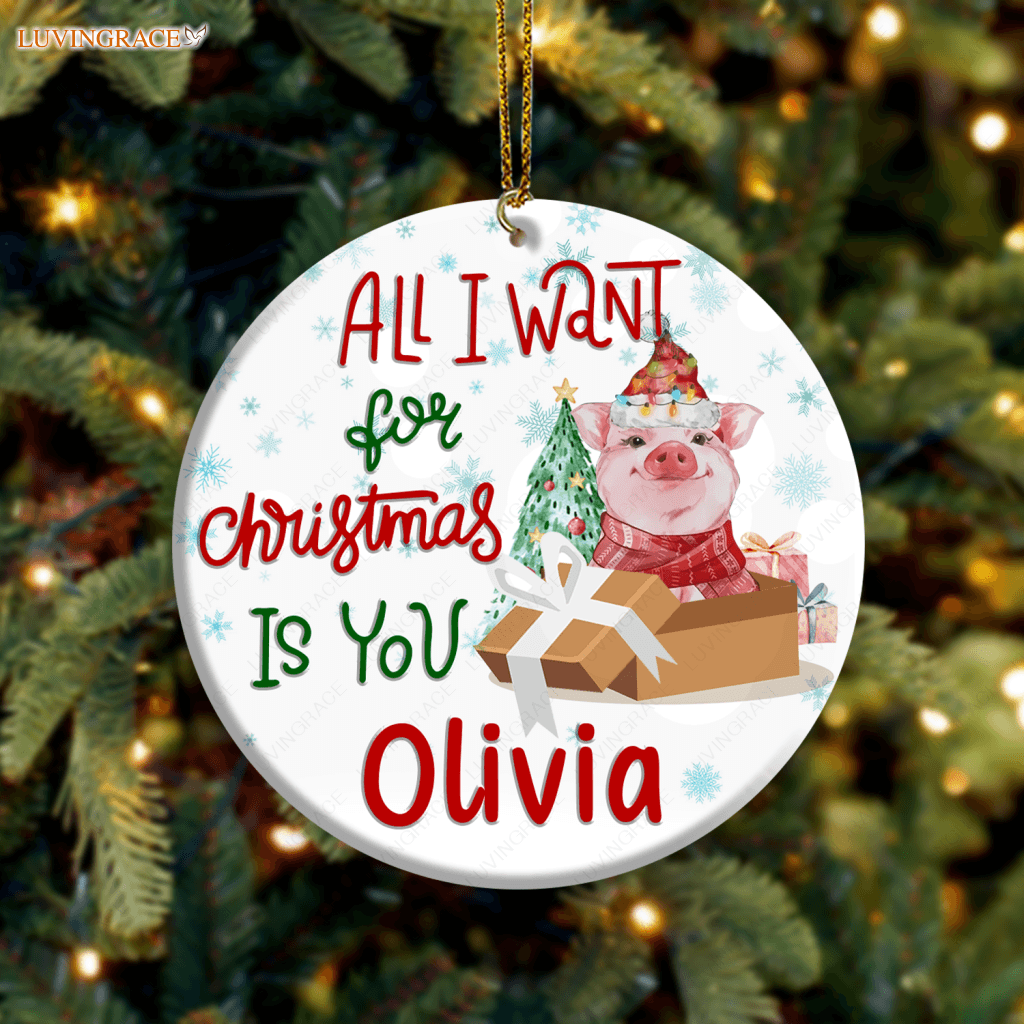 Little Baby Pig In Gift Box All I Want For Christmas Is You Personalized Ornament Ceramic