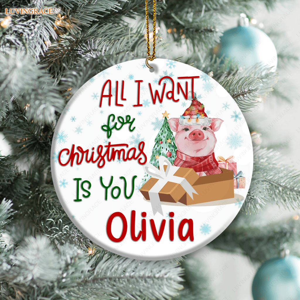 Little Baby Pig In Gift Box All I Want For Christmas Is You Personalized Ornament Ceramic
