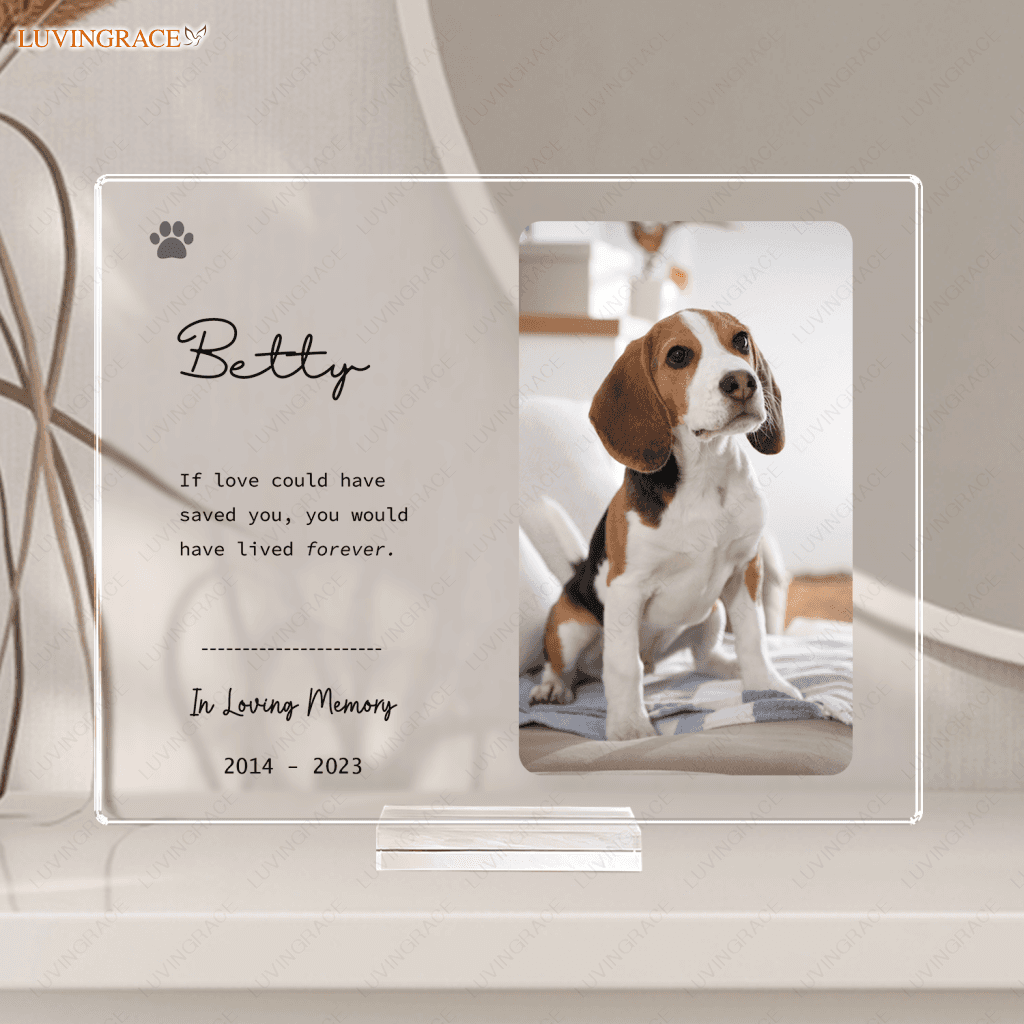 Pet Memorial Gift Loss Bereavement - Personalized Acrylic Plaque Stake