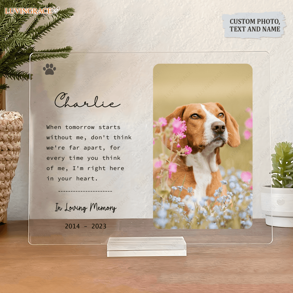 Pet Memorial Gift Loss Bereavement - Personalized Acrylic Plaque Stake