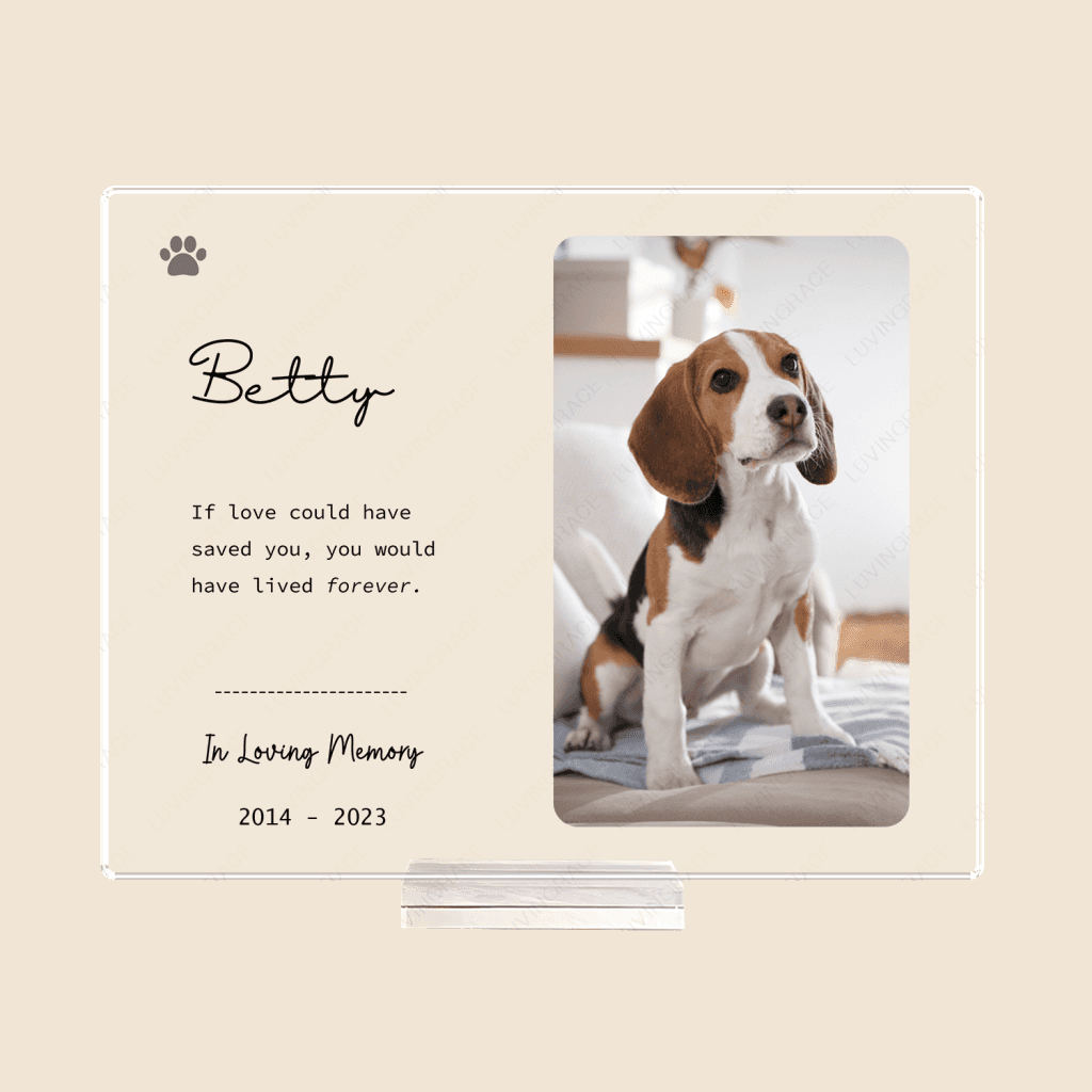 Pet Memorial Gift Pet Loss Gift Pet Bereavement Gift - Personalized Acrylic Plaque