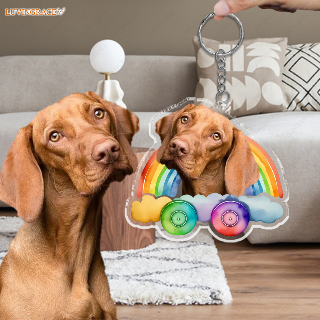 Rainbow Cloud Pet Ornament - Personalized Car Hanging
