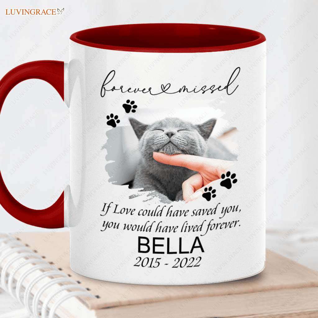 Remembrance Pet Memorial Photo - Personalized Custom Mug Ceramic