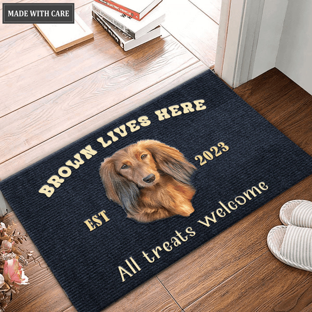 Dog Lives Here - Personalized Custom Doormat