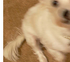 Blurry example
